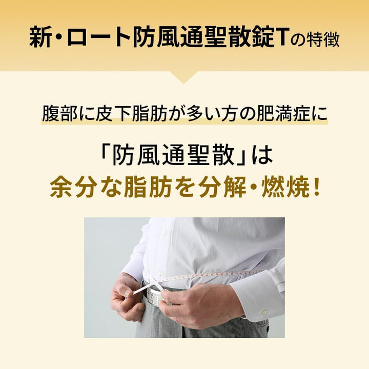 ROHTO  樂敦製藥 防風通聖散錠T 224錠