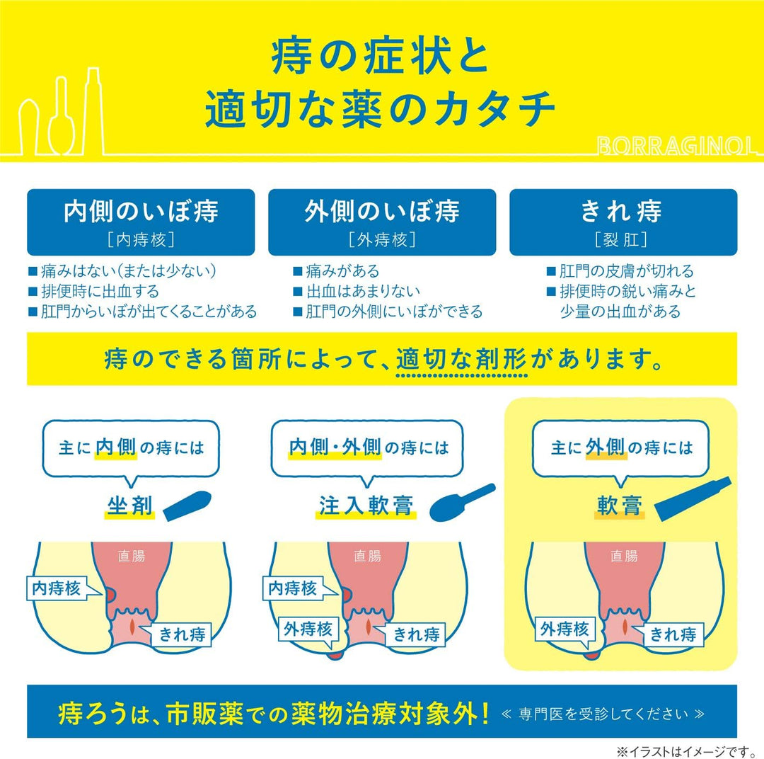 天藤製藥 保能痔 Borraginol A系列 痔瘡軟膏 20g