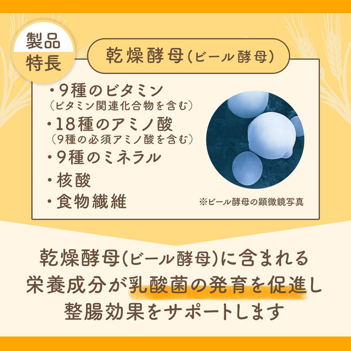 Asahi 朝日 EBIOS 愛表斯錠 啤酒酵母 整腸錠 504錠