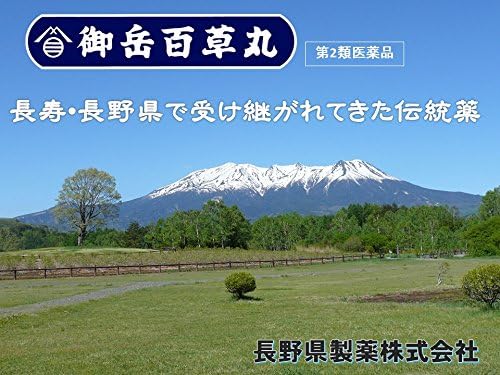 長野県製薬 御岳百草丸 罐裝