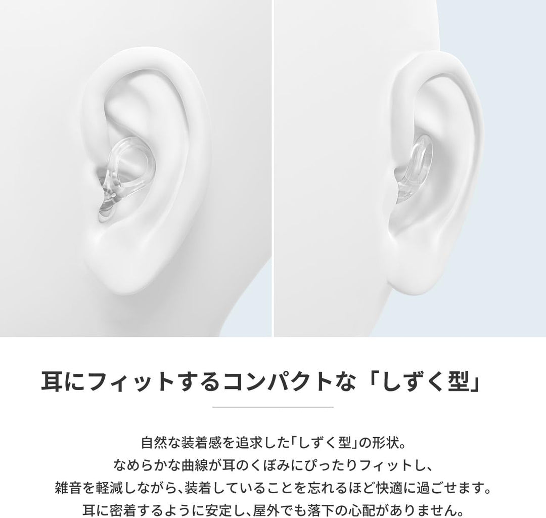 radius 演唱會用耳塞 EP-D20