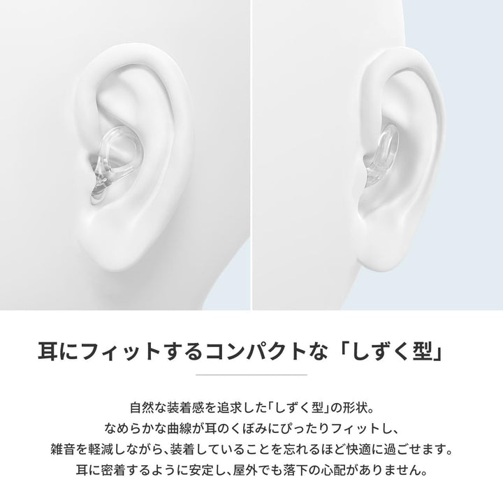 radius 演唱會用耳塞 EP-D20