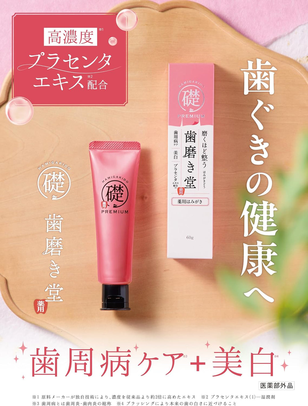 HAMIGAKIDO 齒磨殿堂 專業修補牙膏 極致淨白 去垢淨白
