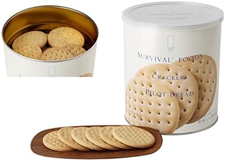 日本製 永谷園 SURVIVAL FOODS 25年超長期儲存 防災食品