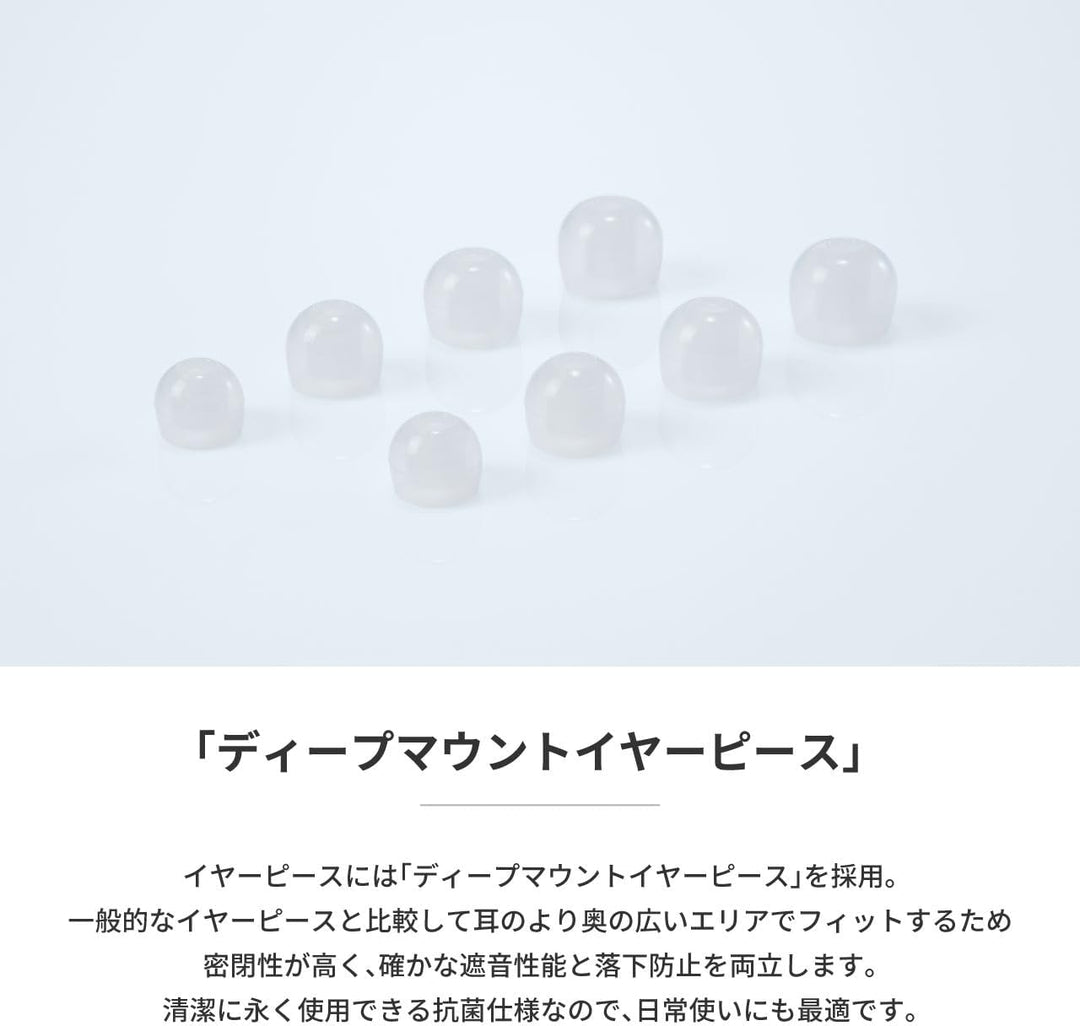 radius 演唱會用耳塞 EP-D20