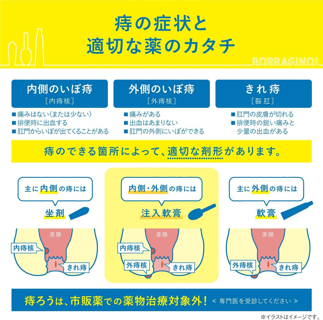 天藤製藥 保能痔 Borraginol A系列 痔瘡注入軟膏 10支/30支入