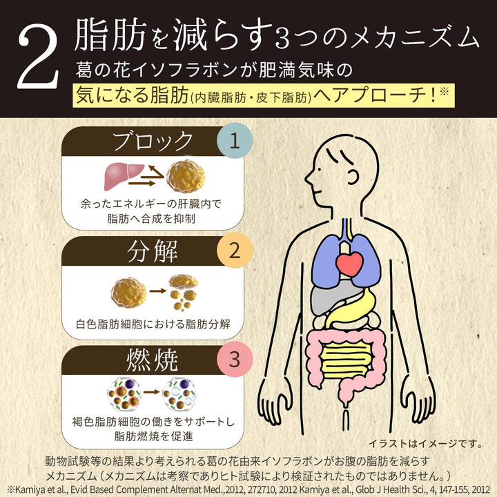新谷酵素 葛花 30回分 90粒入