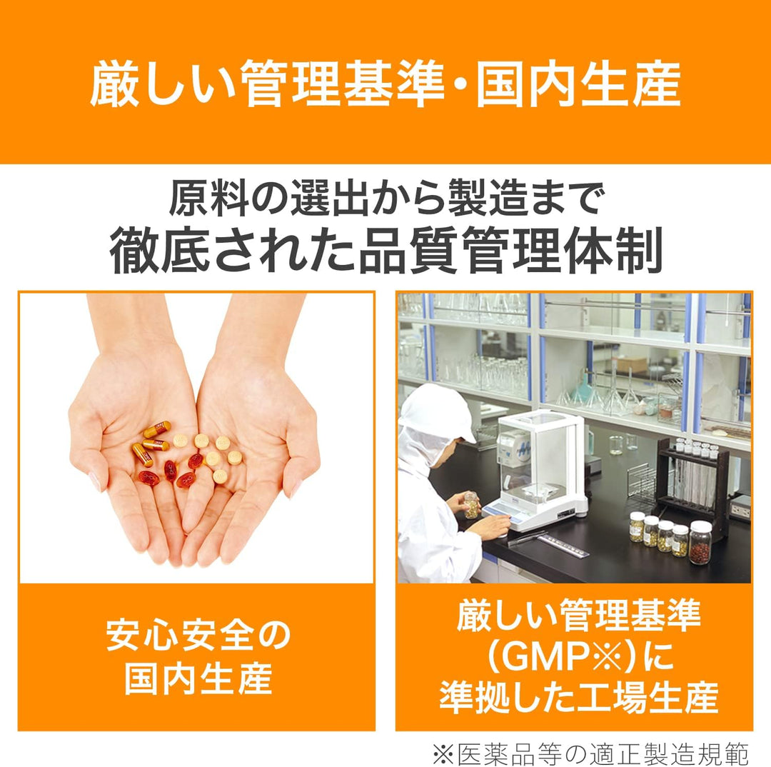 DHC 銀杏葉精華腦內α 30日份