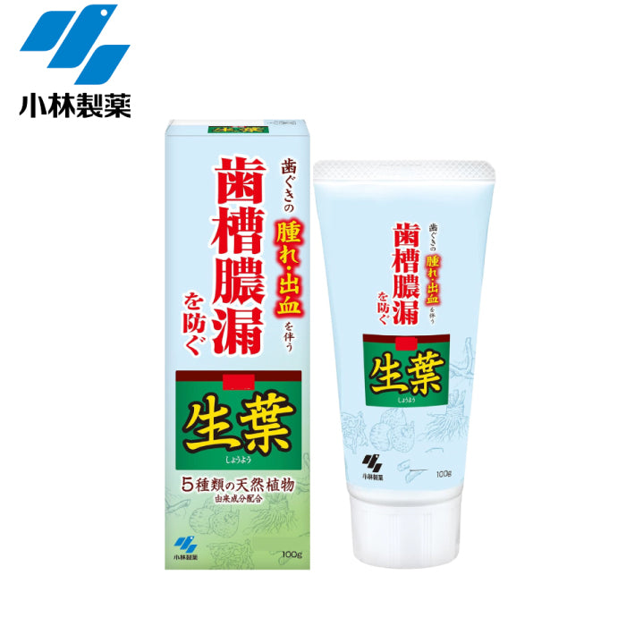 小林製藥 歯槽膿漏 草本生葉護齦牙膏