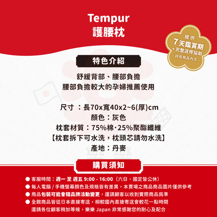 TEMPUR 丹普 BED BACK SUPPORT 護腰枕