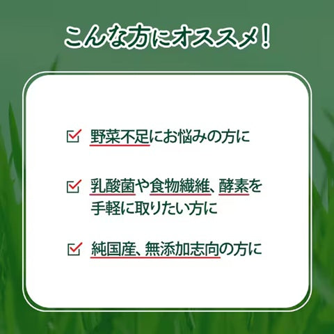 日本藥健 金の青汁 大麥若葉 乳酸菌x酵素 25種野菜 30/60包
